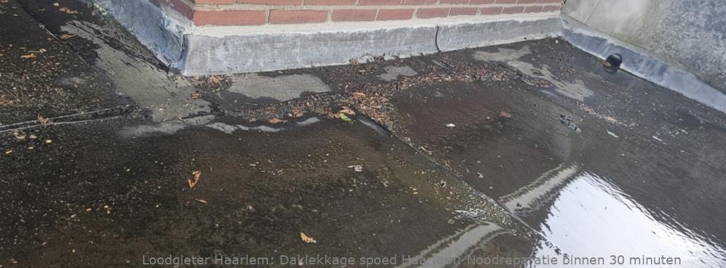 Daklekkage Spoed Haarlem
