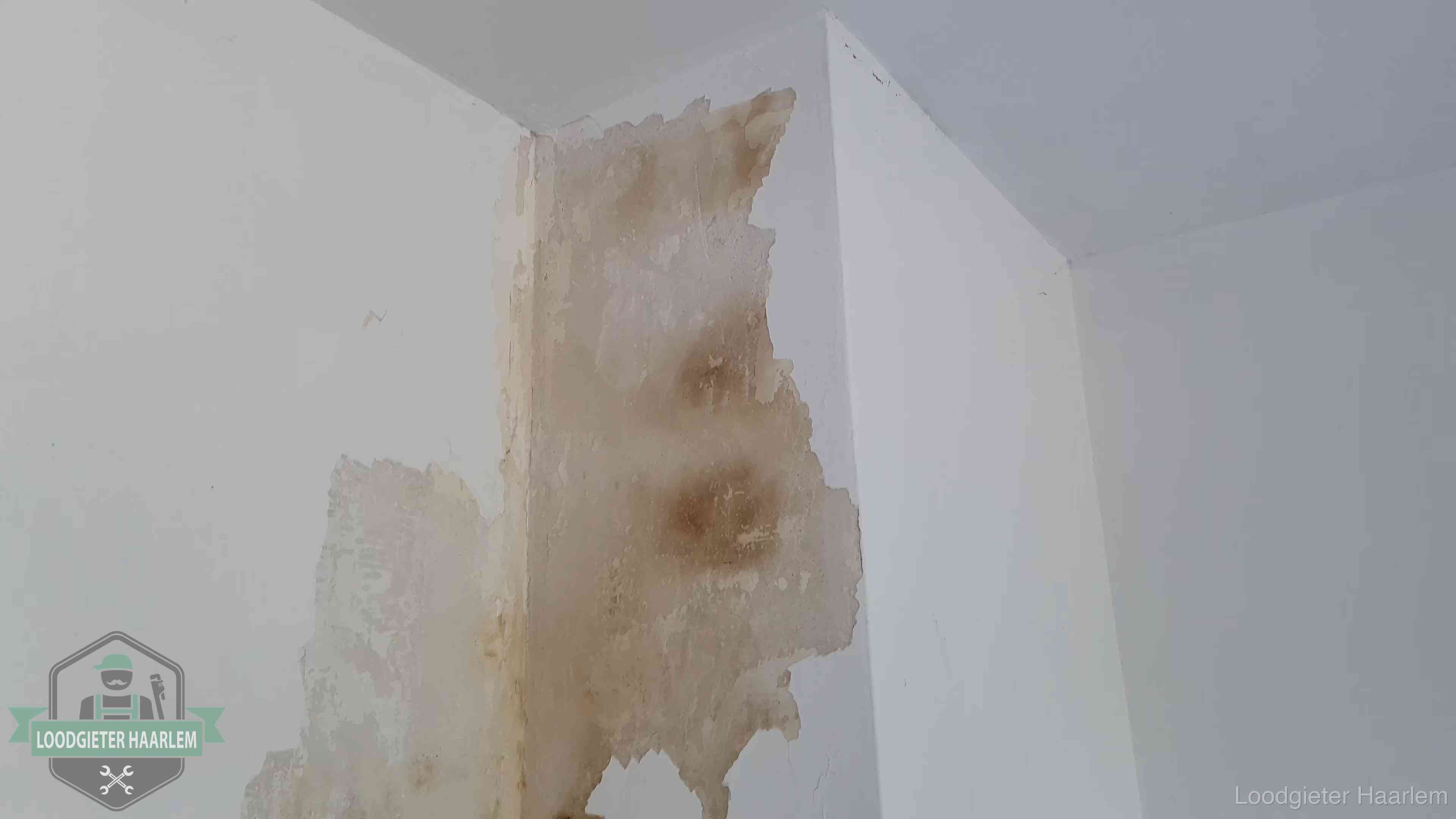 Bruine vochtkringen en afbladderend stucwerk op een binnenmuur in Haarlem, een eerste teken van daklekkage