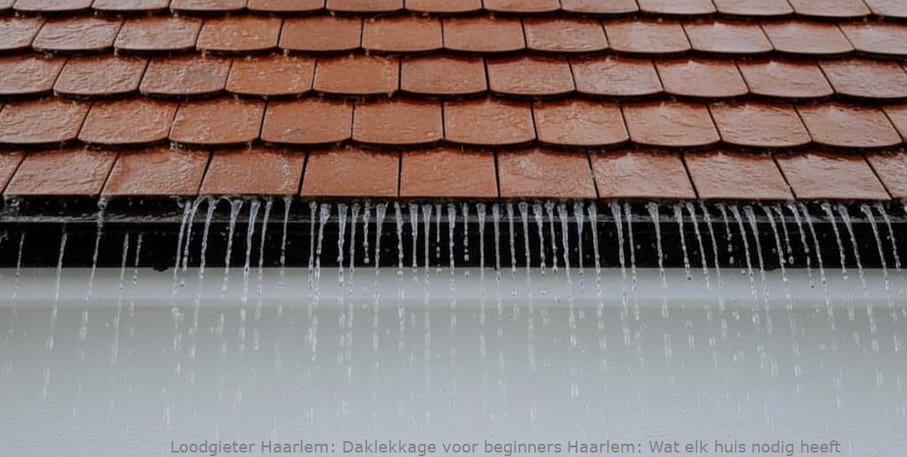 Daklekkage Voor Beginners Haarlem