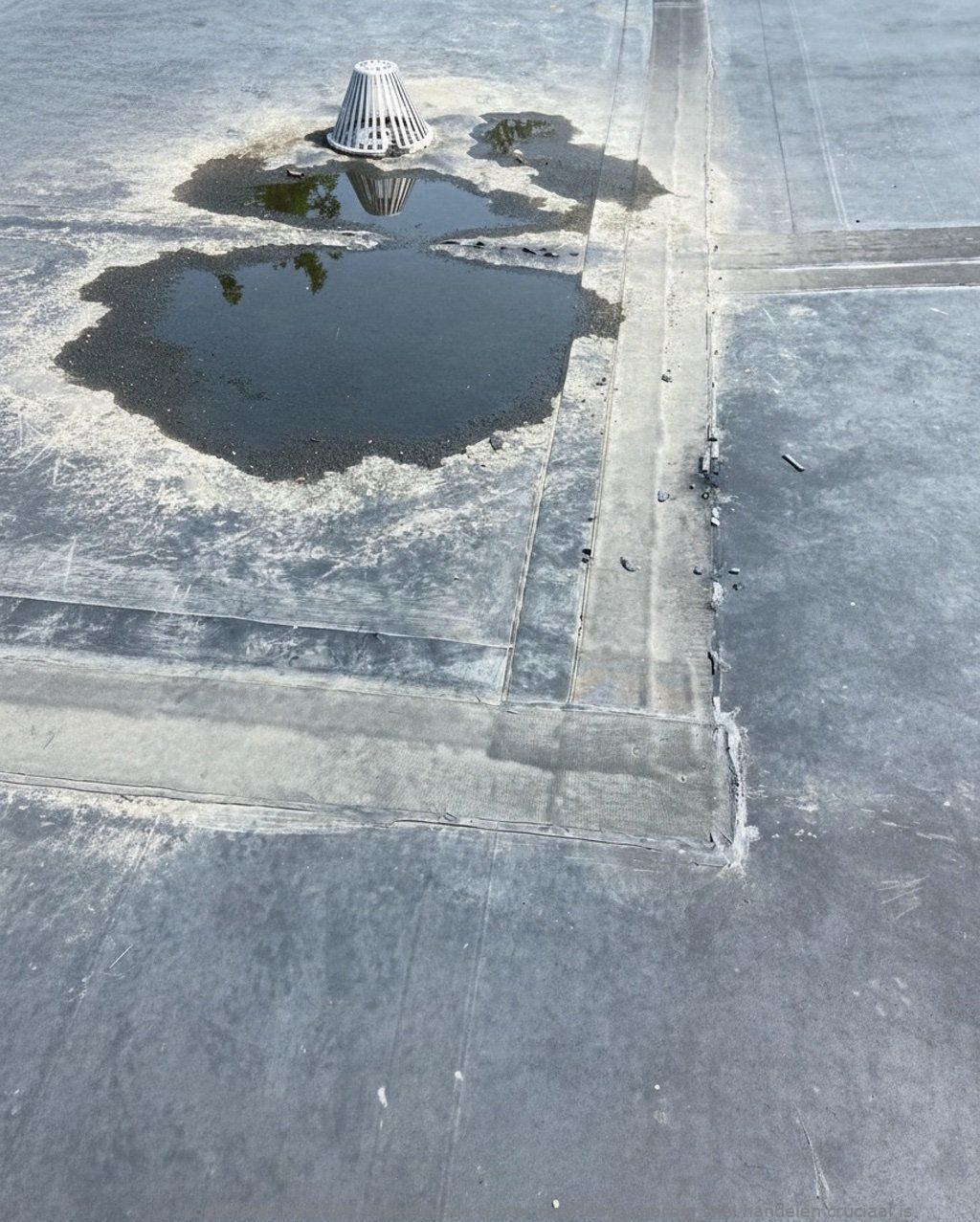 Daklekkage Winter Haarlem