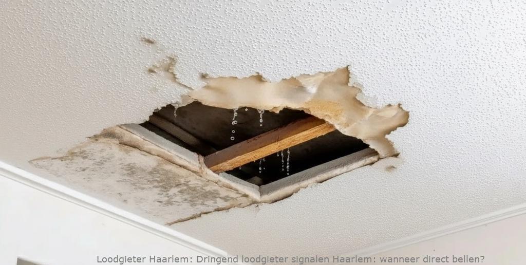 Dringend Loodgieter Signalen Haarlem