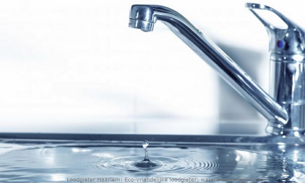 Eco Vriendelijke Loodgieter Waterbesparing Haarlem