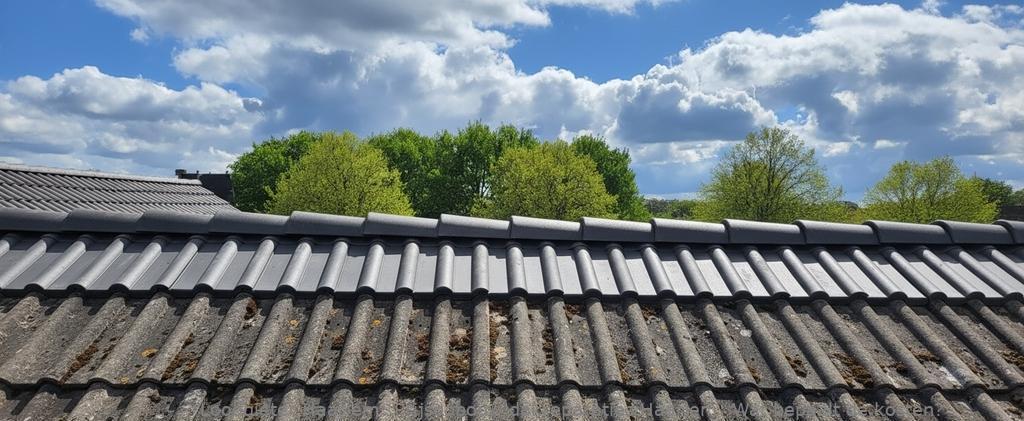 Kosten Dakreparaties Haarlem