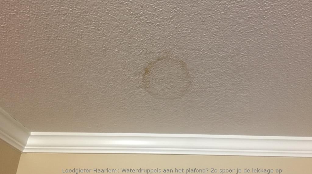 Lekkage Plafond Haarlem