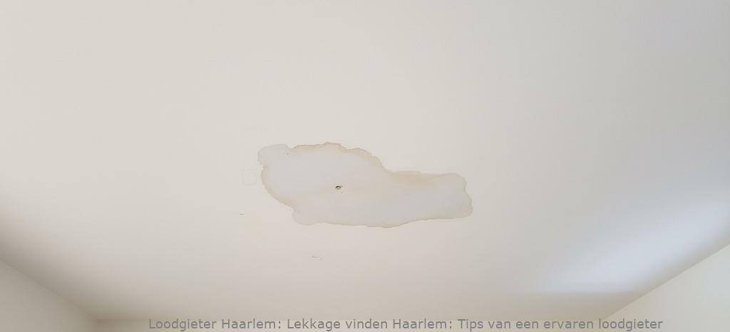 Lekkage Vinden Haarlem