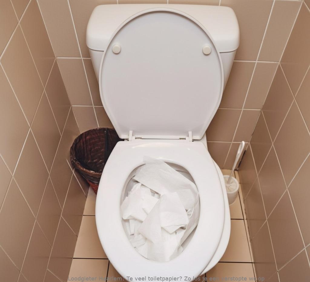 Te Veel Toiletpapier Oplossing Haarlem