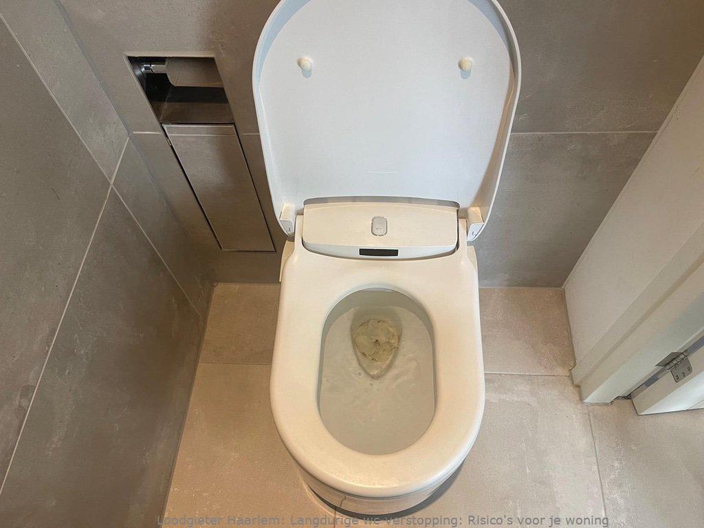 Toilet Verstopping Haarlem
