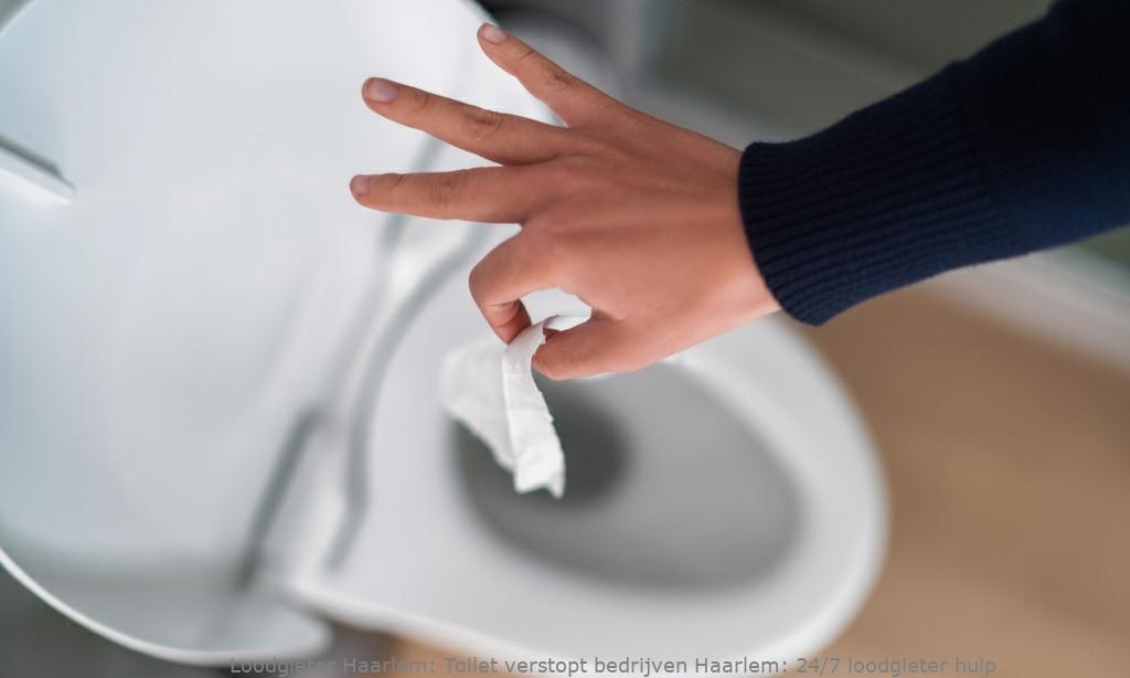 Toilet Verstopt Bedrijven Haarlem
