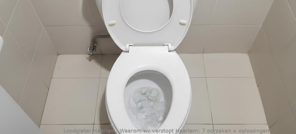 Waarom Wc Verstopt Haarlem