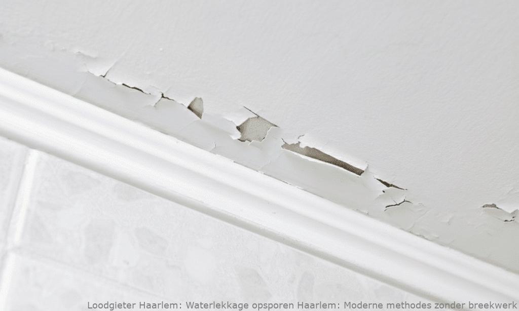 Waterlekkage Opsporen Haarlem